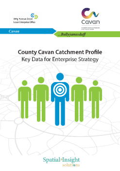 Ballyjamesduff Catchment Profile summary image
									