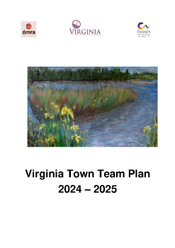 Virginia-Town-Team-Plan-23-25-(003) summary image
									