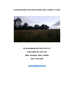 bat-assessment-report summary image
									