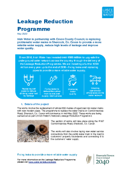 Cavan-Carrickmacross-Rd-Shercock_LRP-Water-Main-Replacement summary image
									
