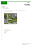 Widows Row IS Report thumbnail