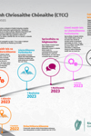 RZLT timeline graphic IRISH (1) thumbnail