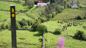 Walking & Cycling thumbnail image