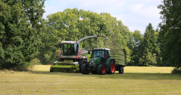 Silage-Cutting---600x315