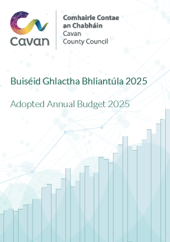 Budget-2025 summary image
									